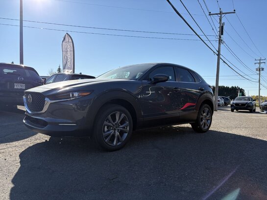 MAZDA CX-30 GS TI 2025 Gris polymétal métallisé